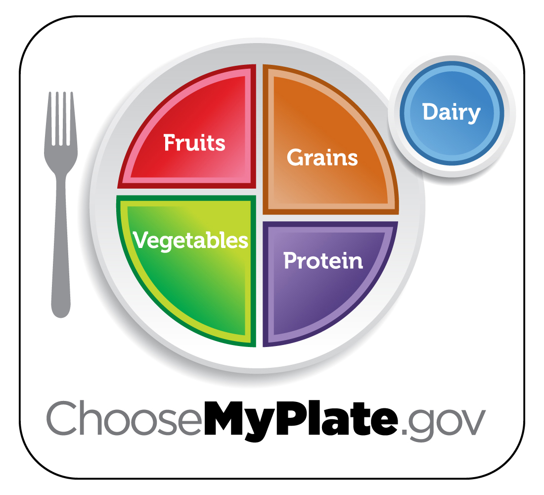 my plate my plate